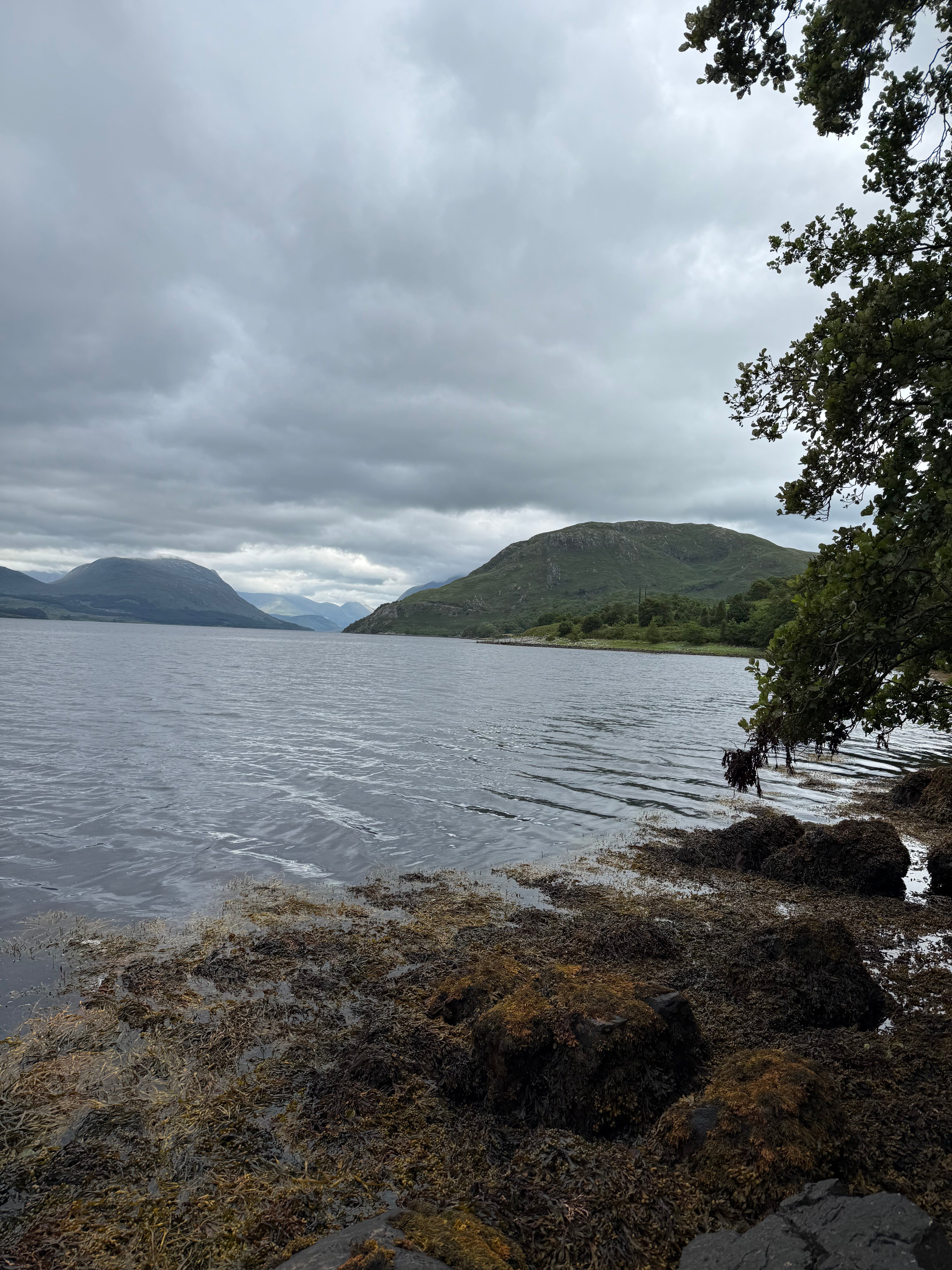 Local Hunting & Fishing PartnersA selection of local businesses offering fishing and field sports here in Argyll & the Isles