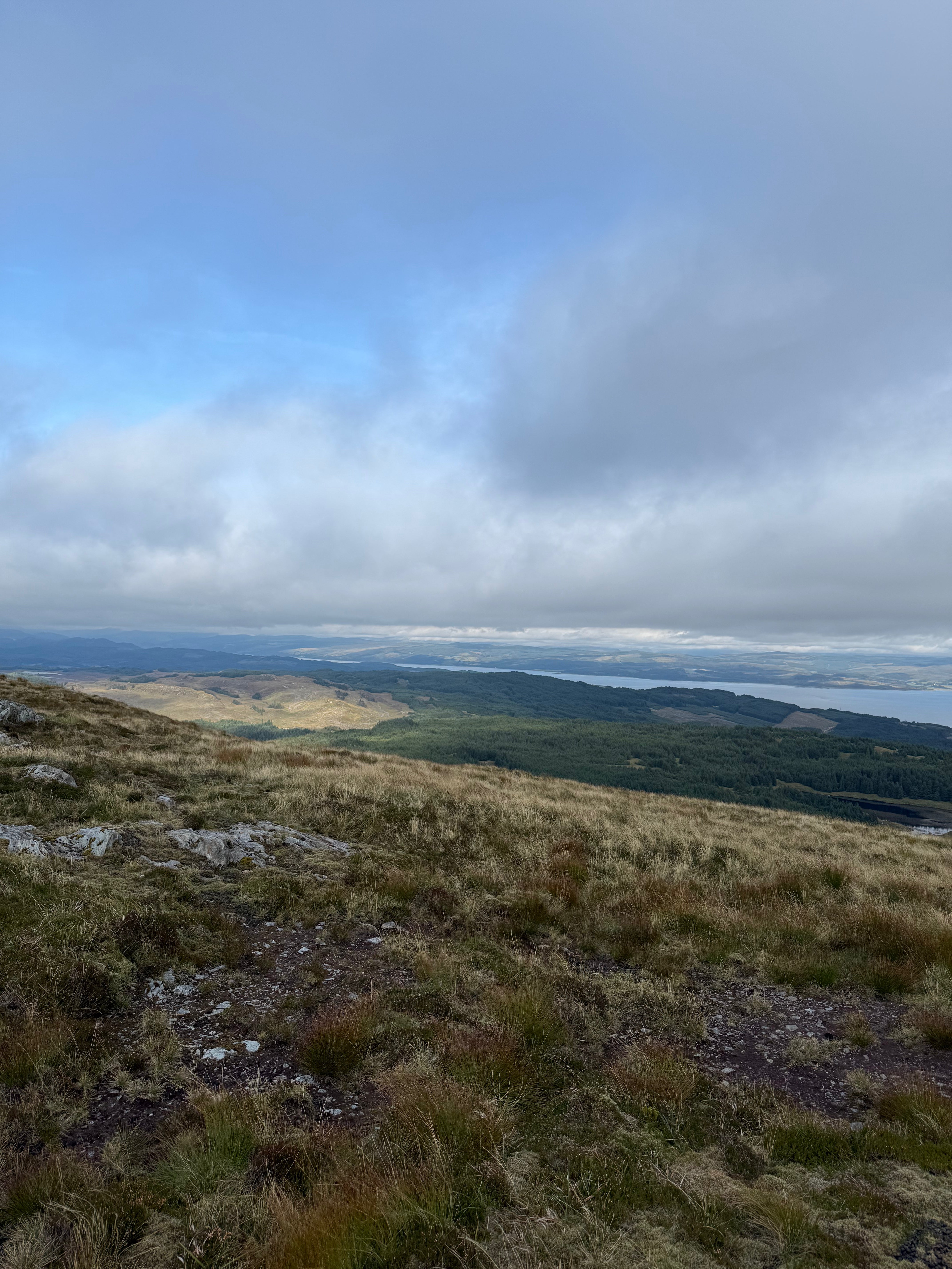 New Website Coming Soon!